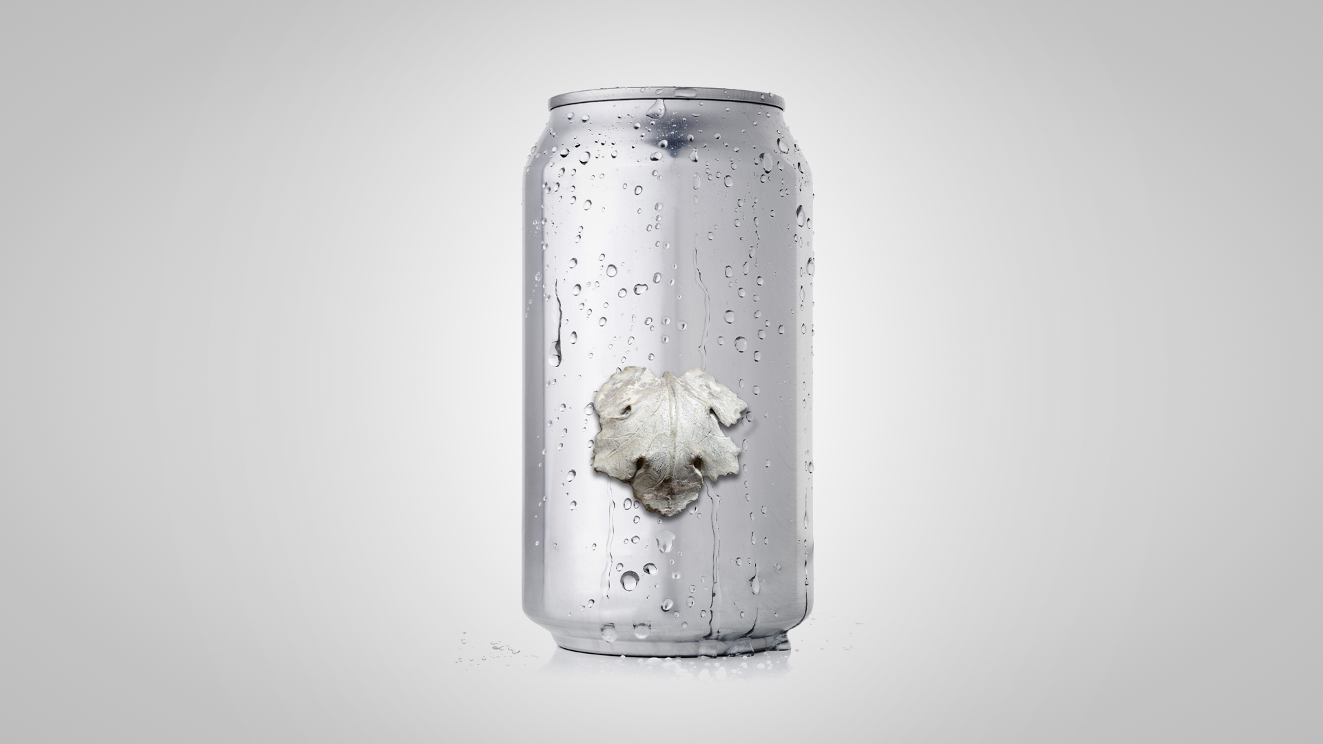 Soda can with fig leaf, representing brand exposure