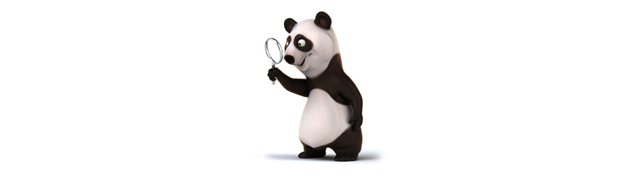 Google Panda Image