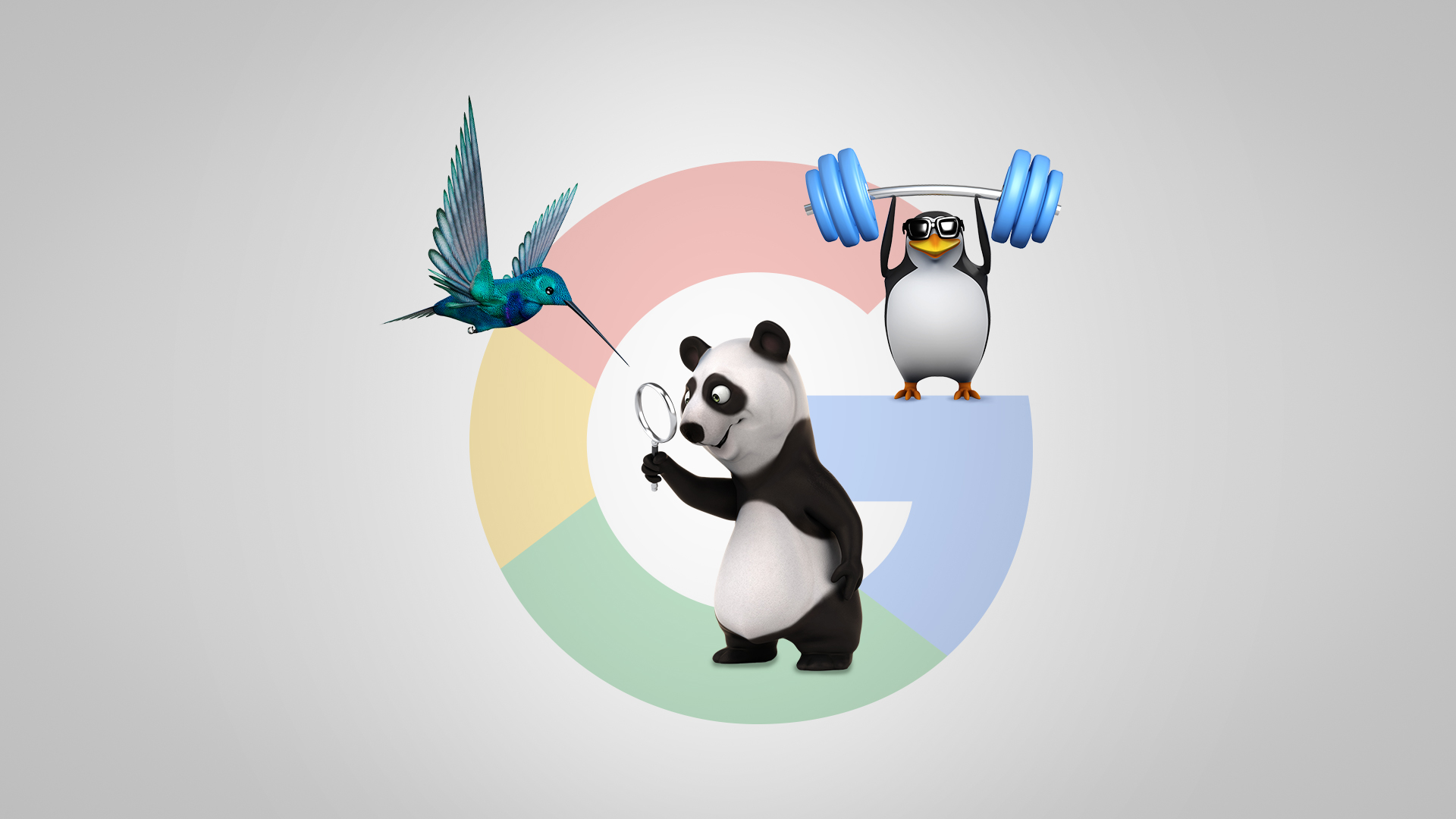 Illustrations of a panda, penguin, and hummingbird representing Google algorithm update history.