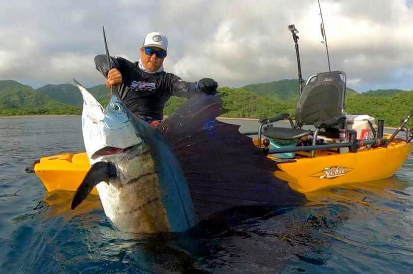 This image was named featuredsailfish.jpg, but a better example would be sailfish-caught-on-kayak.jpg.
