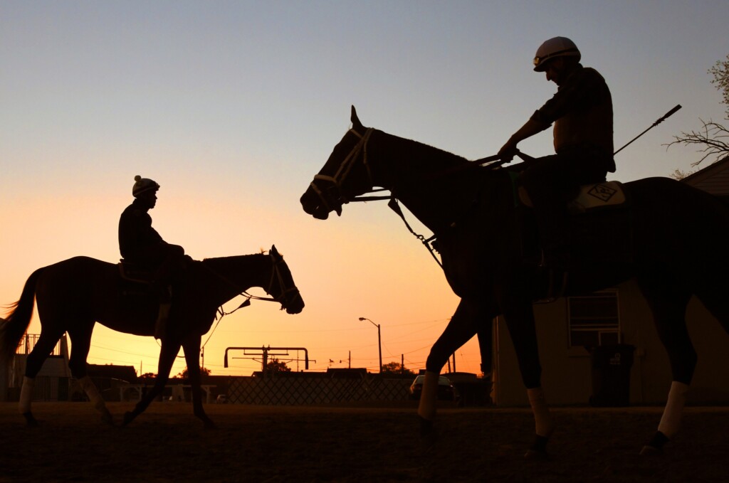 Derby Image 9 - horses at dawn