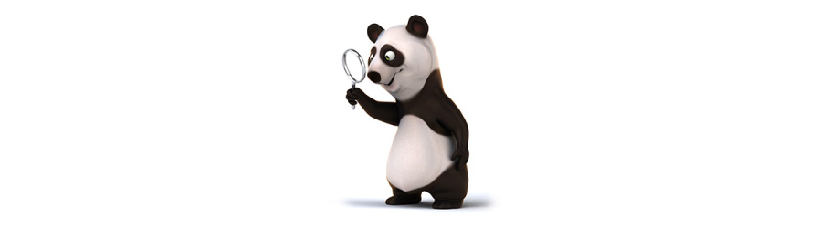 Illustration of panda holding magnifying glass, representing the Panda update and part of Google algorithm update history