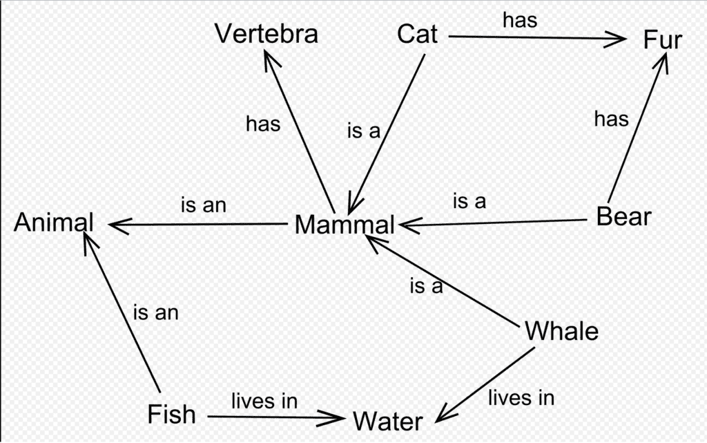 Semantic network example diagram for "mammal" to help illustration SEO image optimization