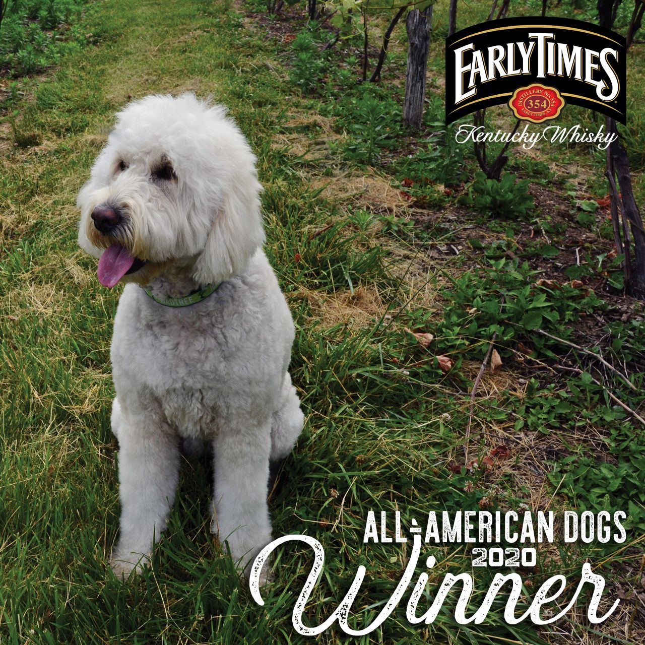 All-American Dogs winner Annie Rose in Early Times campaign creative