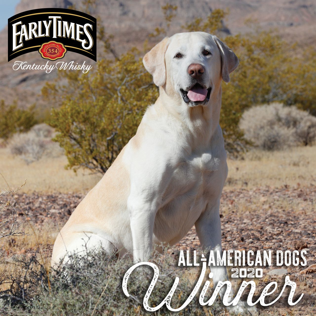 All-American Dogs winner Arthur in Early Times campaign creative